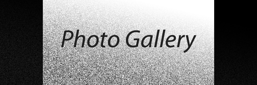 Photo page banner